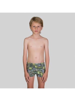 Sunga UV Com Proteção Solar - ESTAMPA SAPO